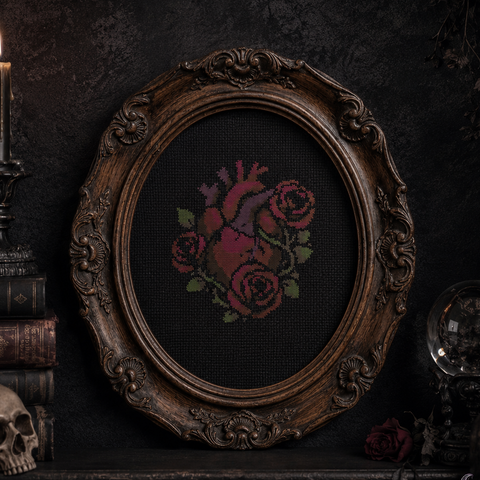 Macabre Anatomy
